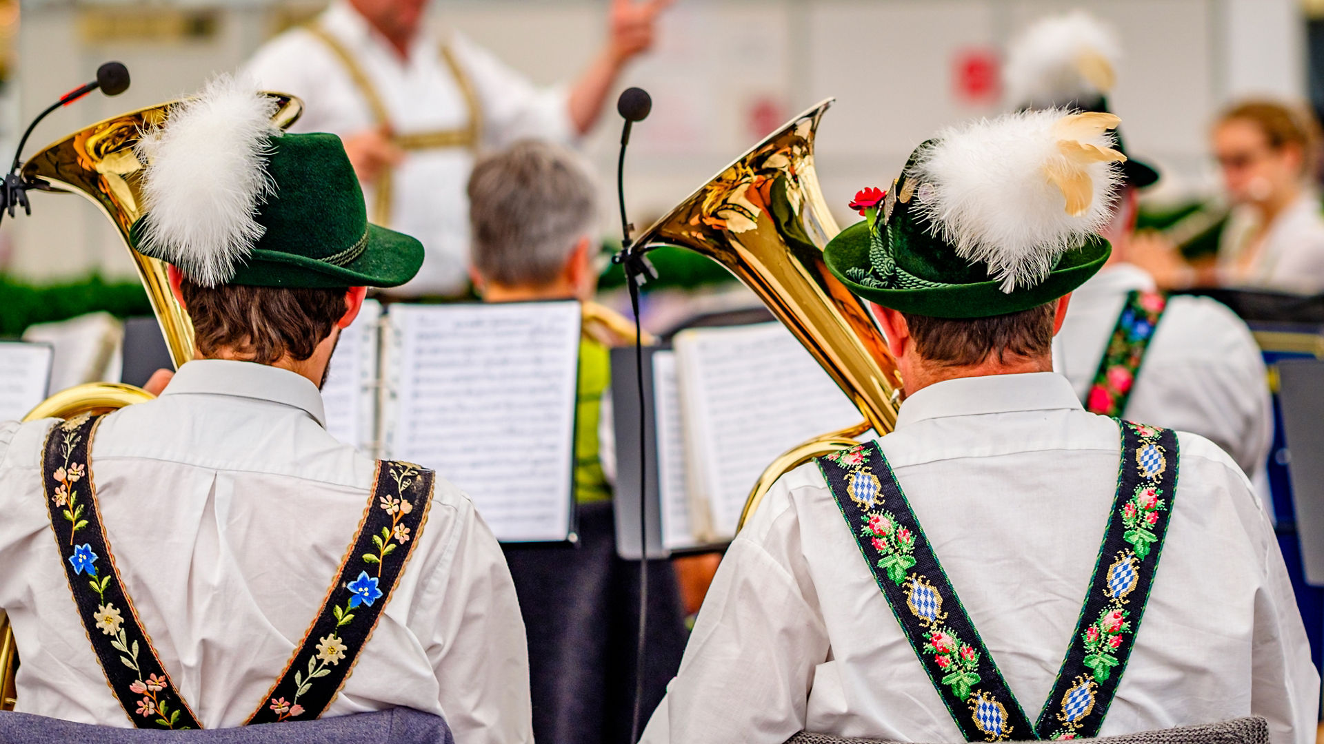 typical bavarian musician in a festival tent