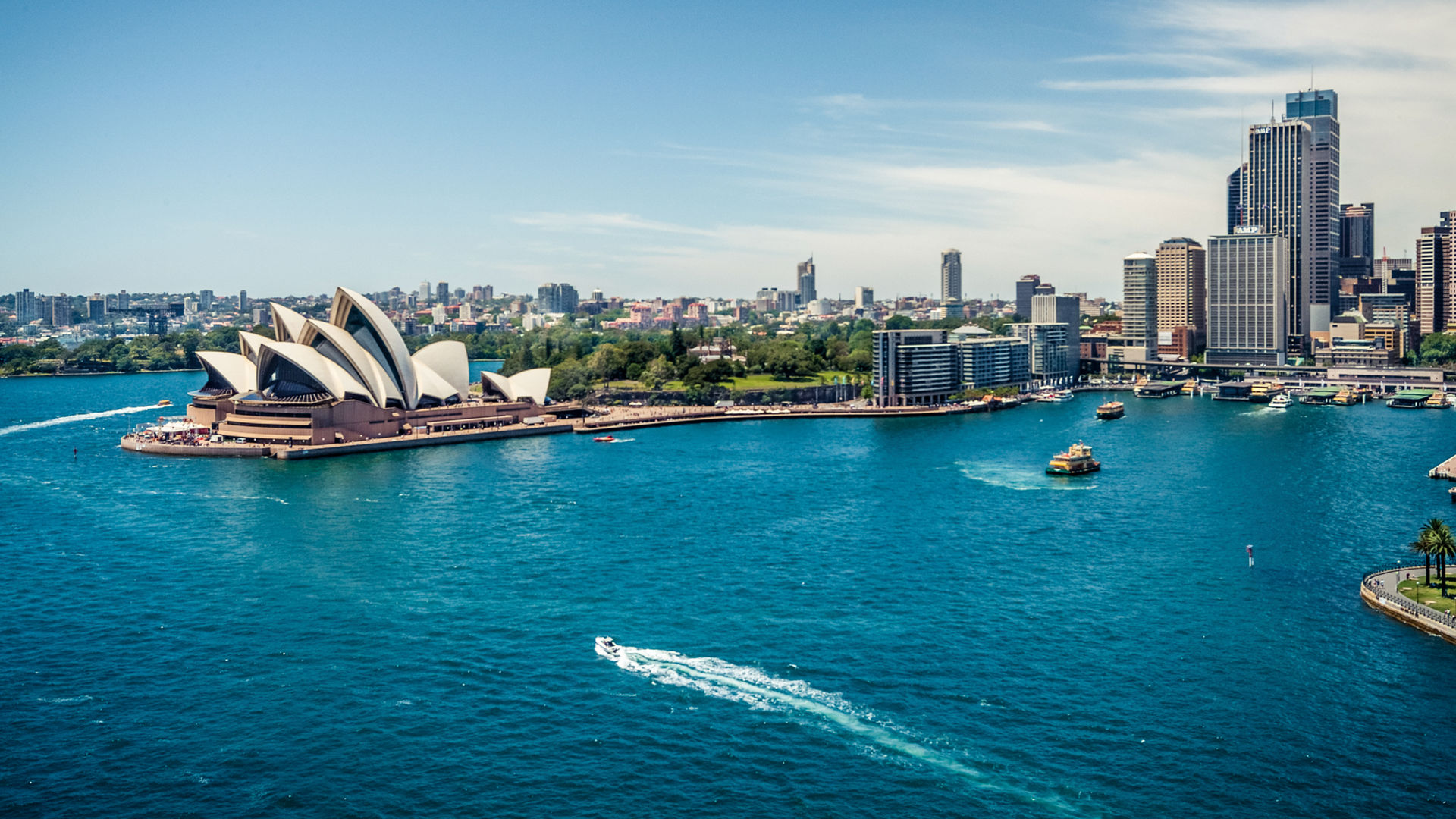 Sydney Opera House and Circular quay, ferry terminus, from the harbour bridge.
