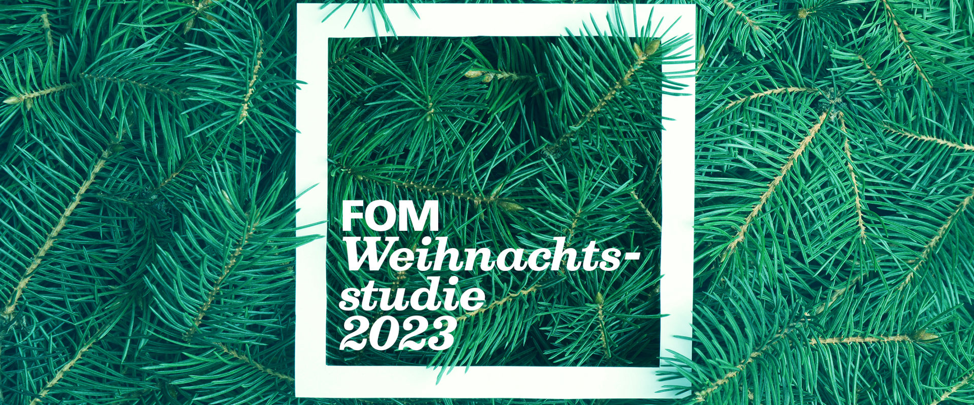 Wie viel Geld geben die Menschen für die Weihnachtsgeschenke aus? Das untersucht die FOM Weihnachtsstudie. (Grafik: FOM)