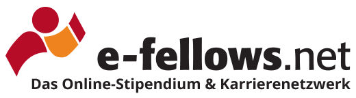 e-fellows.net GmbH & Co. KG